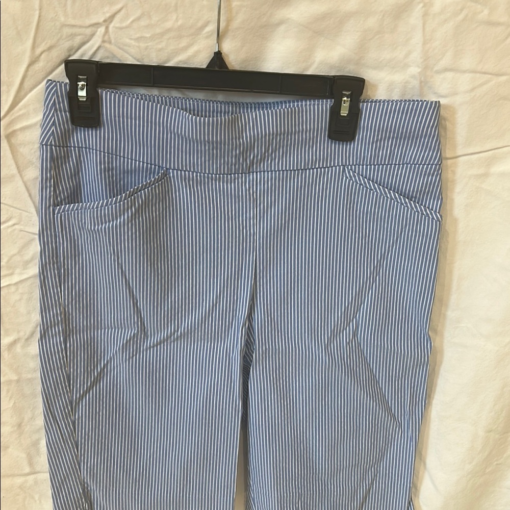 Blue and White Striped Pants